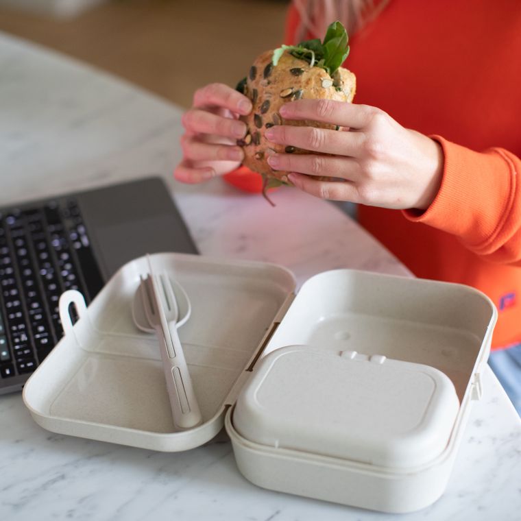 Koziol, lunchbox z separatorem, Pascal L Nature, Desert Sand