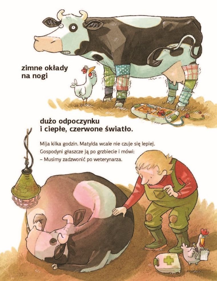 Krowa Matylda jest chora