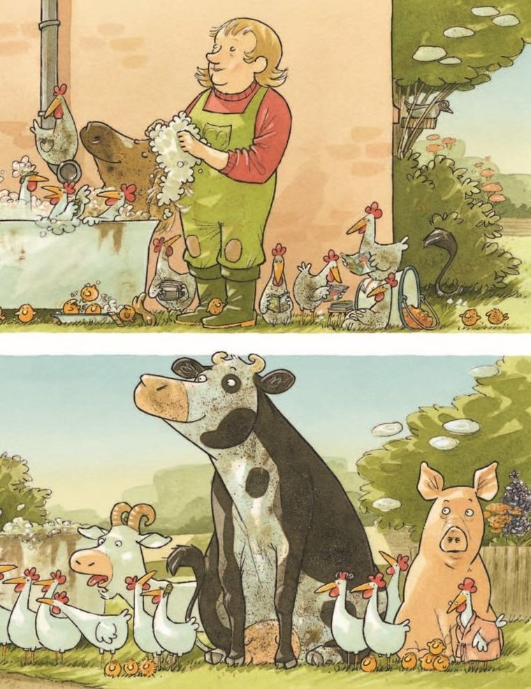 Krowa Matylda nie chce się kąpać