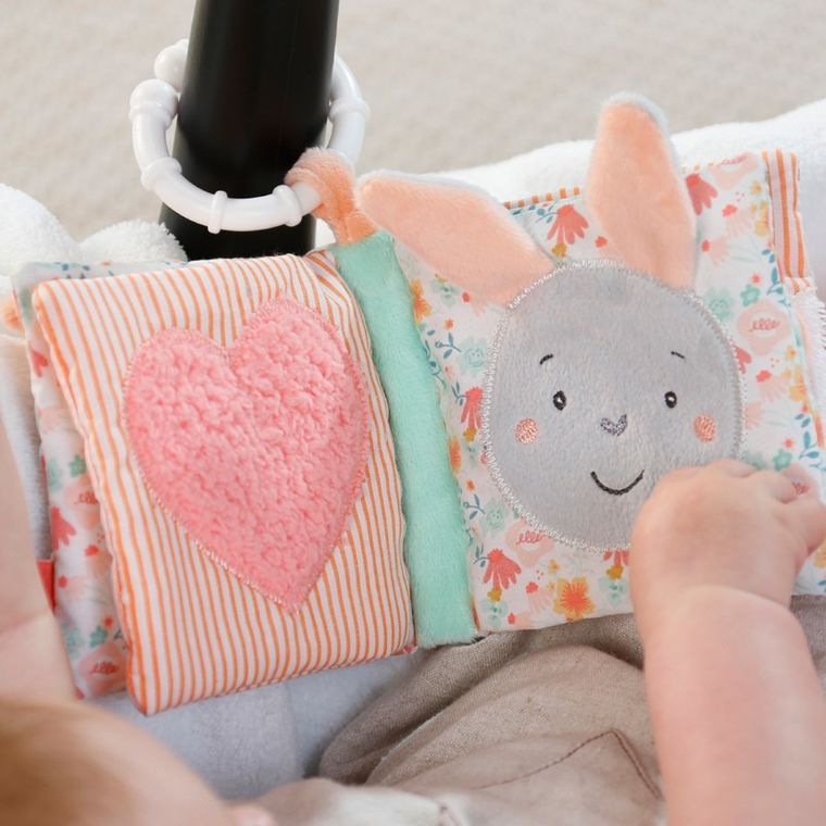 Łabędź, Jezioro łabędzie, miękka książeczka edukacyjna