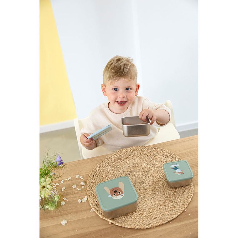 Lassig, Tiny Team, Piesek, snackbox ze stali nierdzewnej, pojemnik na przekąski, 3 szt.