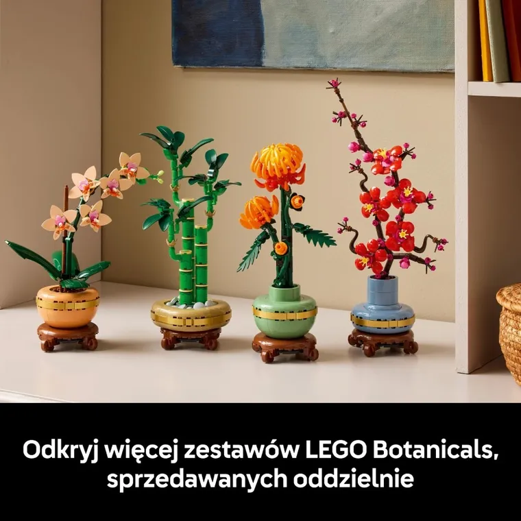 LEGO Botanicals, Dracena sandera, 10344