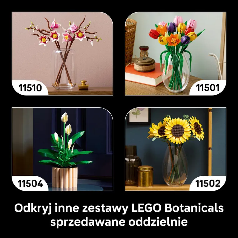 LEGO Botanicals, Grzyby leśne, 11505