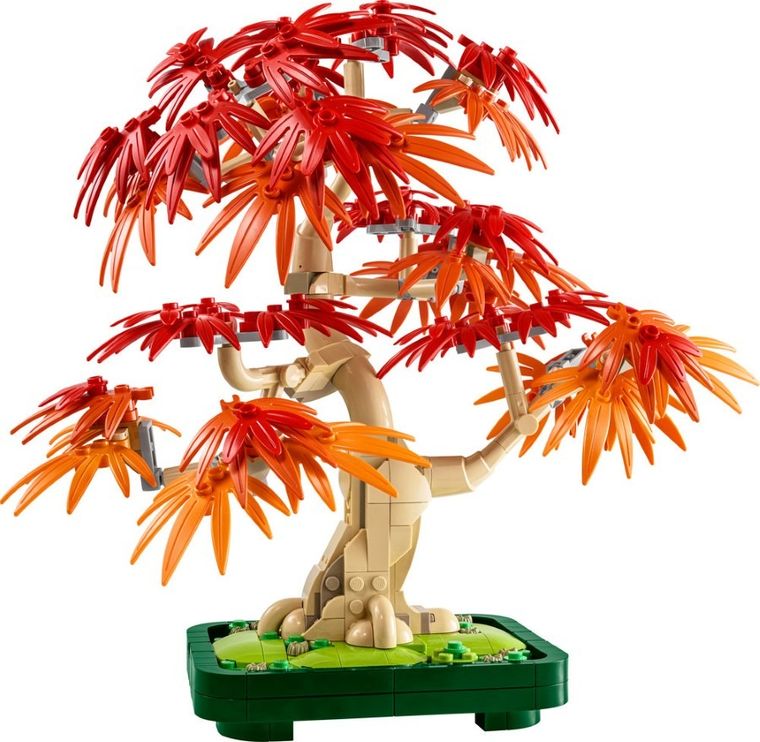 LEGO Botanicals, Klon palmowy bonsai, 10348