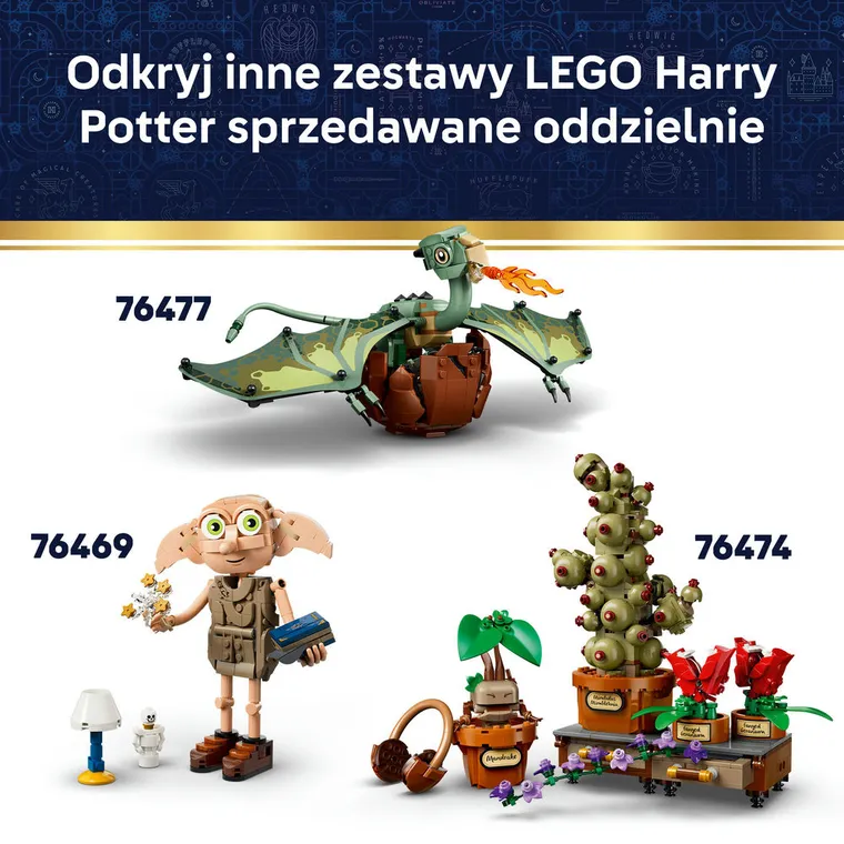 LEGO Harry Potter, Herb Hogwartu, 76462
