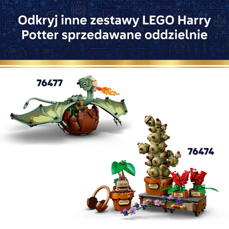 LEGO Harry Potter, Wolny skrzat Zgredek, 76469
