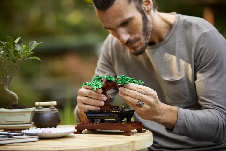 LEGO Icons, Drzewko bonsai, 10281