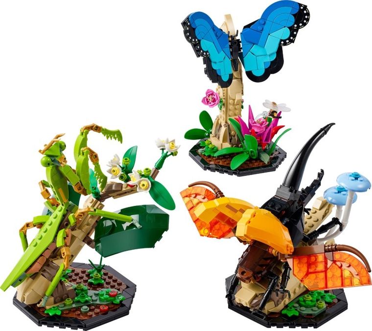 LEGO Ideas, Kolekcja owadów, 21342
