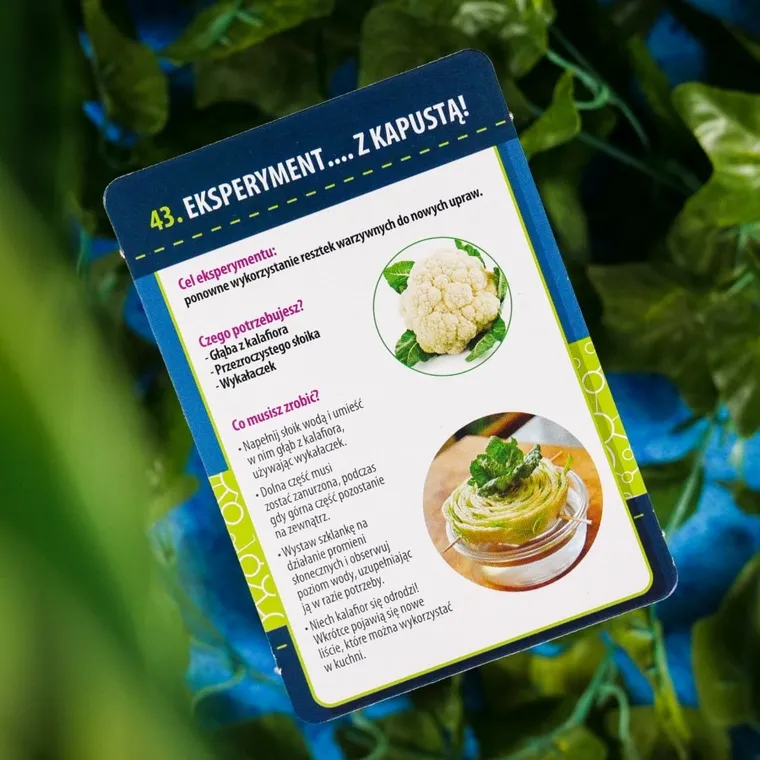 Lisciani, I'm a Genius, Nauka w domu, Botanika