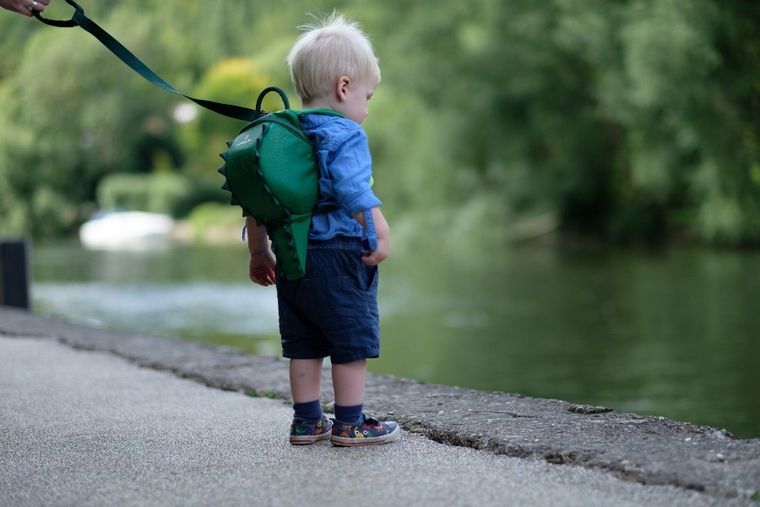 LittleLife, Krokodyl, plecak dla przedszkolaka