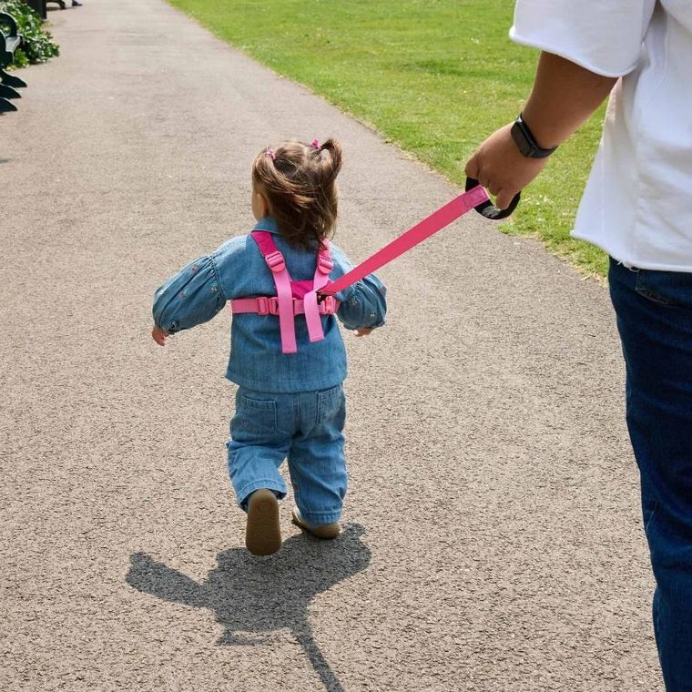 LittleLife, szelki bezpieczeństwa, Motyl