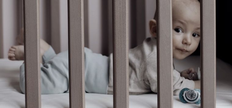 Lovi, Botanic Boy, smoczek silikonowy, dynamiczny, 6-18m, 2 szt.