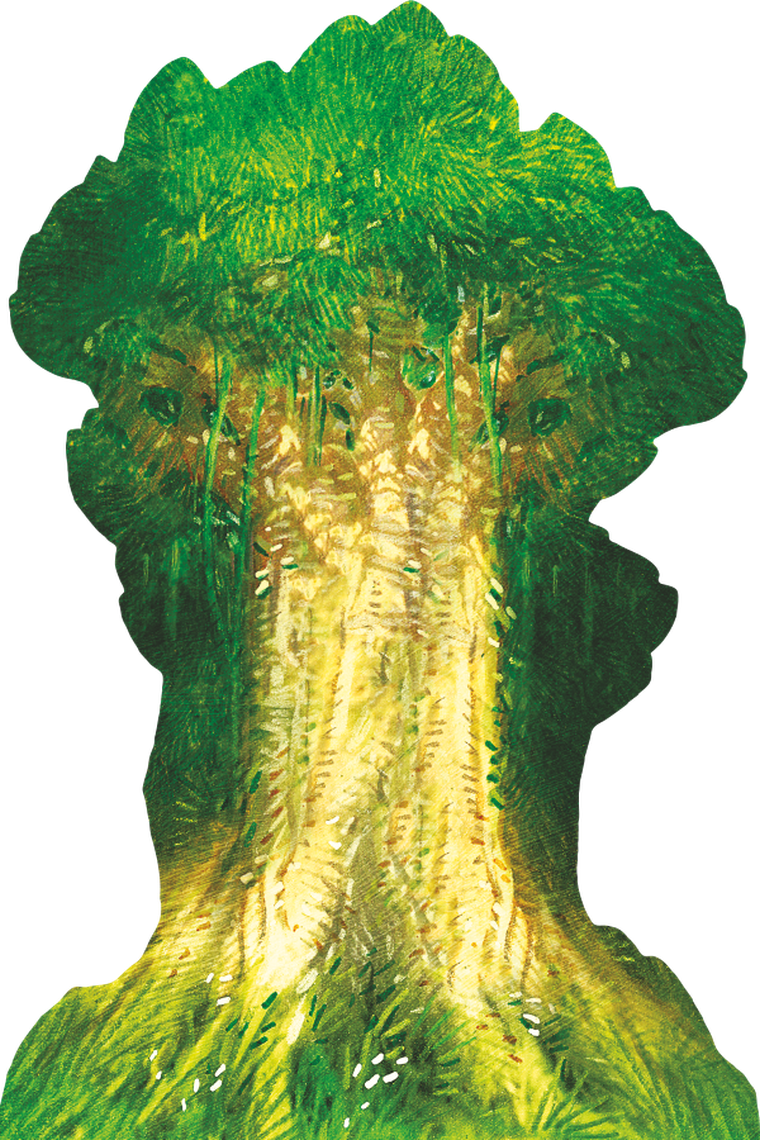 Lucky Duck Games, Hutan, gra familijna