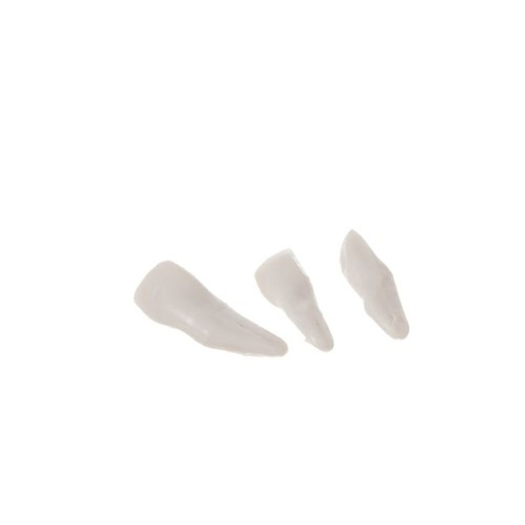 Malatec, szkielet człowieka, 170 cm