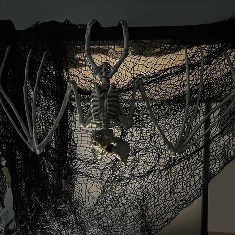 Malatec, szkielet nietoperza, dekoracja, 30 cm