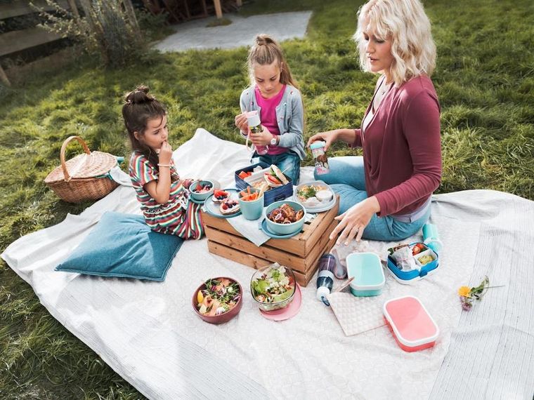 Mepal, Campus, lunchbox, Animal Friends