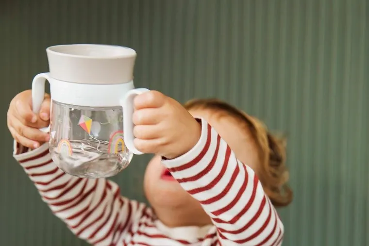 Mepal, Mio, Fairy Garden, kubek dziecięcy treningowy do nauki picia, 6m+, 200 ml