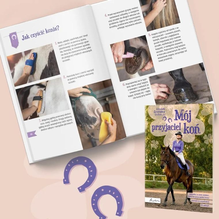 Mój przyjaciel koń