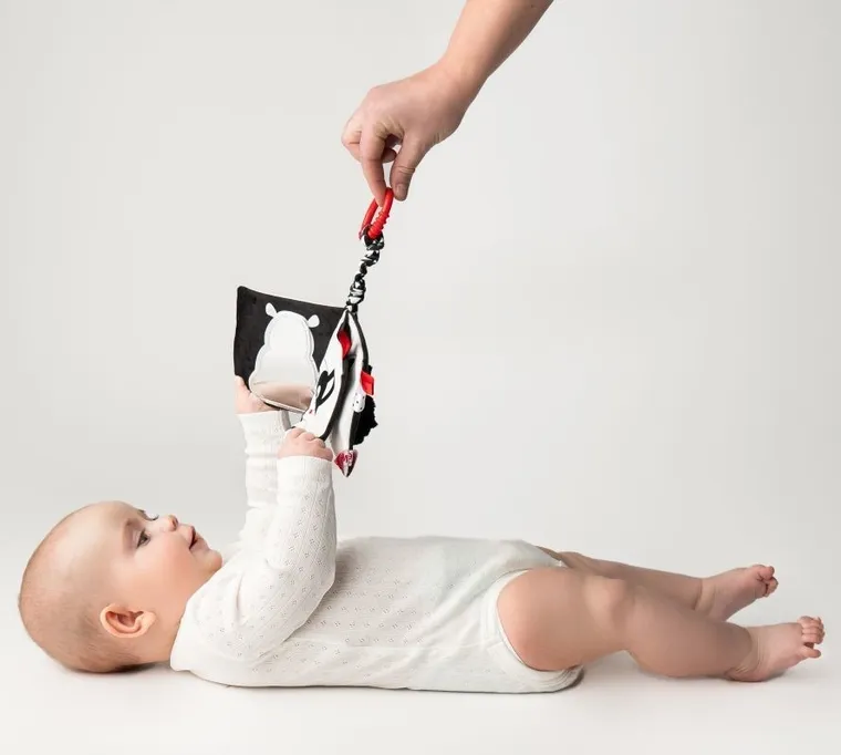 Mom's Care, Kto to? Co to? książeczka edukacyjna