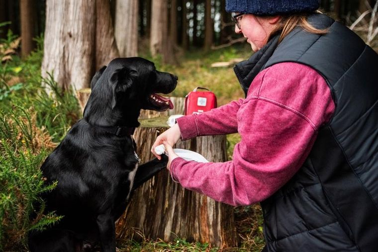Mountain Paws, apteczka pierwszej pomocy dla psa