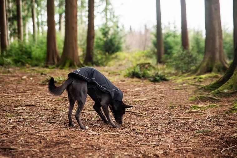 Mountain Paws, ocipelany płaszcz przeciwdeszczowy dla psa, rozmiar L