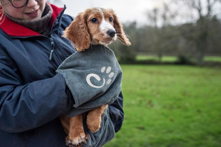 Mountain Paws, ręcznik do wycierania psa