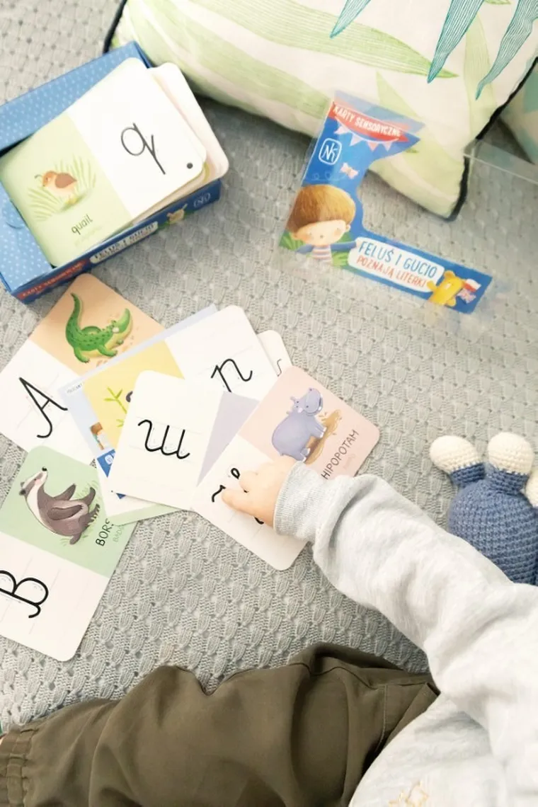 Nasza Księgarnia, Feluś i Gucio poznają literki, gra edukacyjna