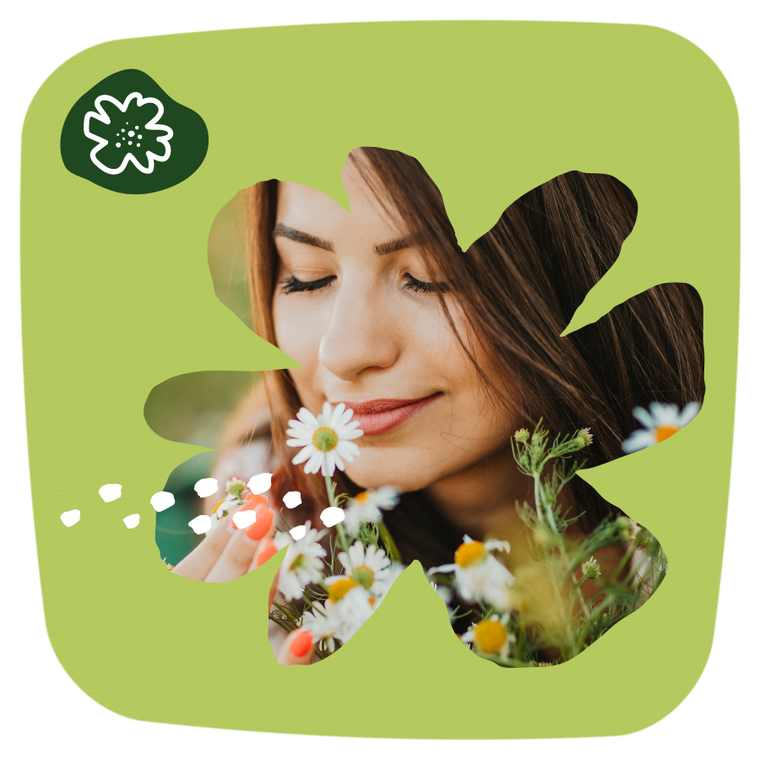 Naturella, Normal Camomile, wkładki higieniczne, 20 szt.