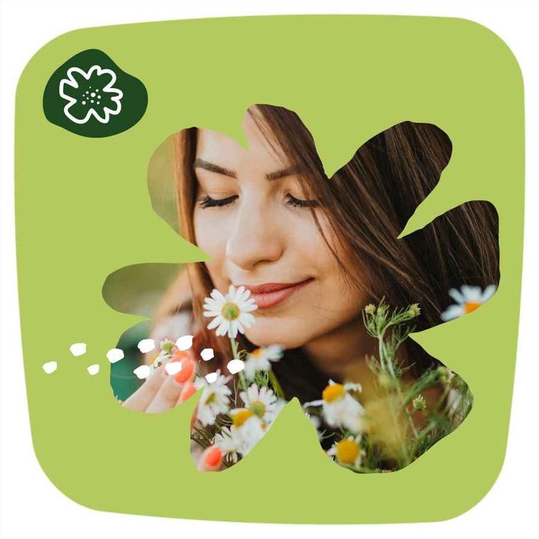 Naturella, Normal, wkładki, 100 szt.