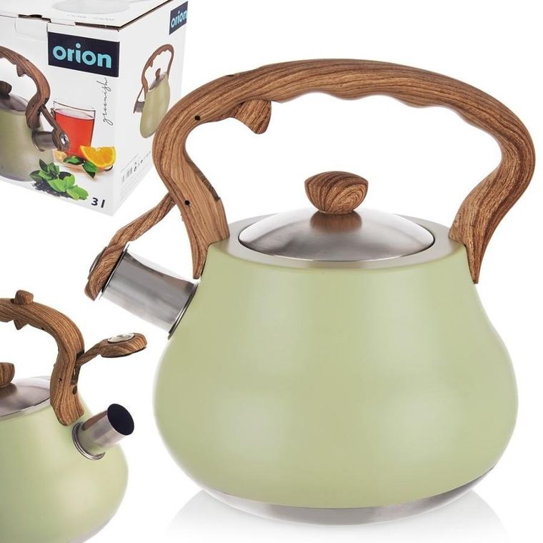 Orion, Greenish, czajnik z gwizdkiem, stalowy, 3l