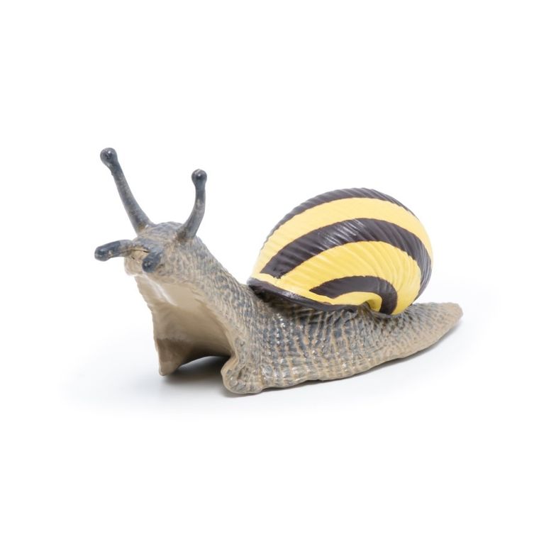 Papo, Ślimak Wstężyk gajowy, figurka