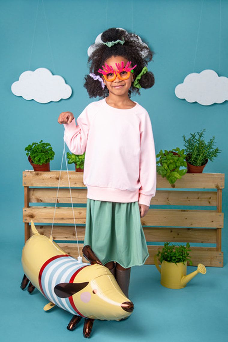 PartyDeco, balon foliowy Jamnik, 96-58 cm, mix, 1 szt.