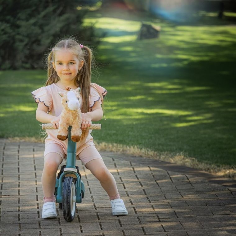 Petite&Mars, konik Little Joe, maskotka