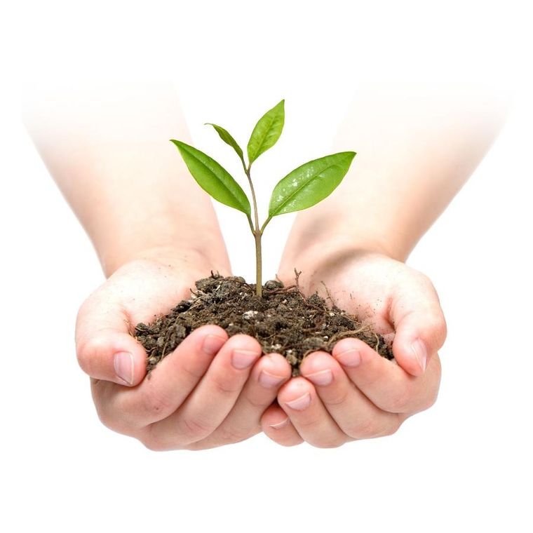 Plonos, agrowłóknina ogrodowa, 1,6100m + szpilki, 100 szt.