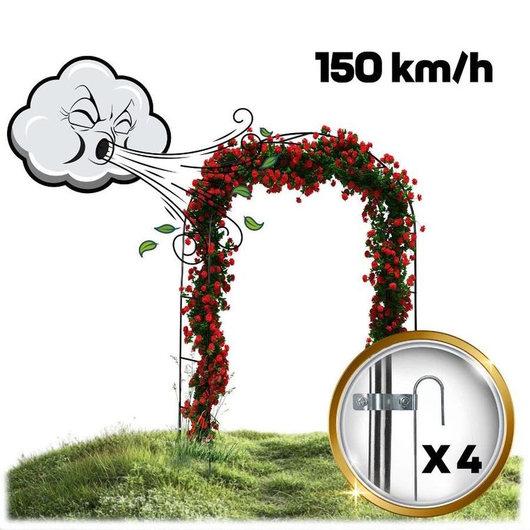 Plonos, pergola ogrodowa, łuk, 240 cm