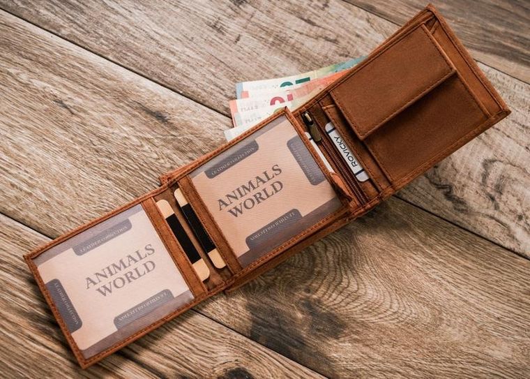 Portfel, brązowy, skórzany, Always Wild