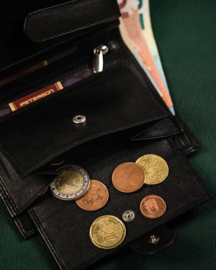 Portfel męski, skórzany, Peterson