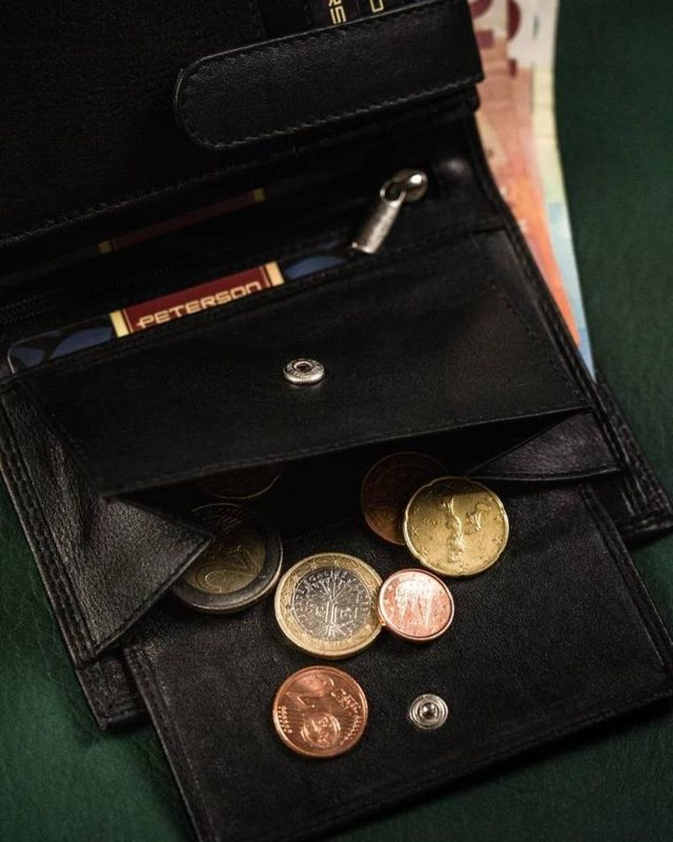 Portfel męski, skórzany, Peterson