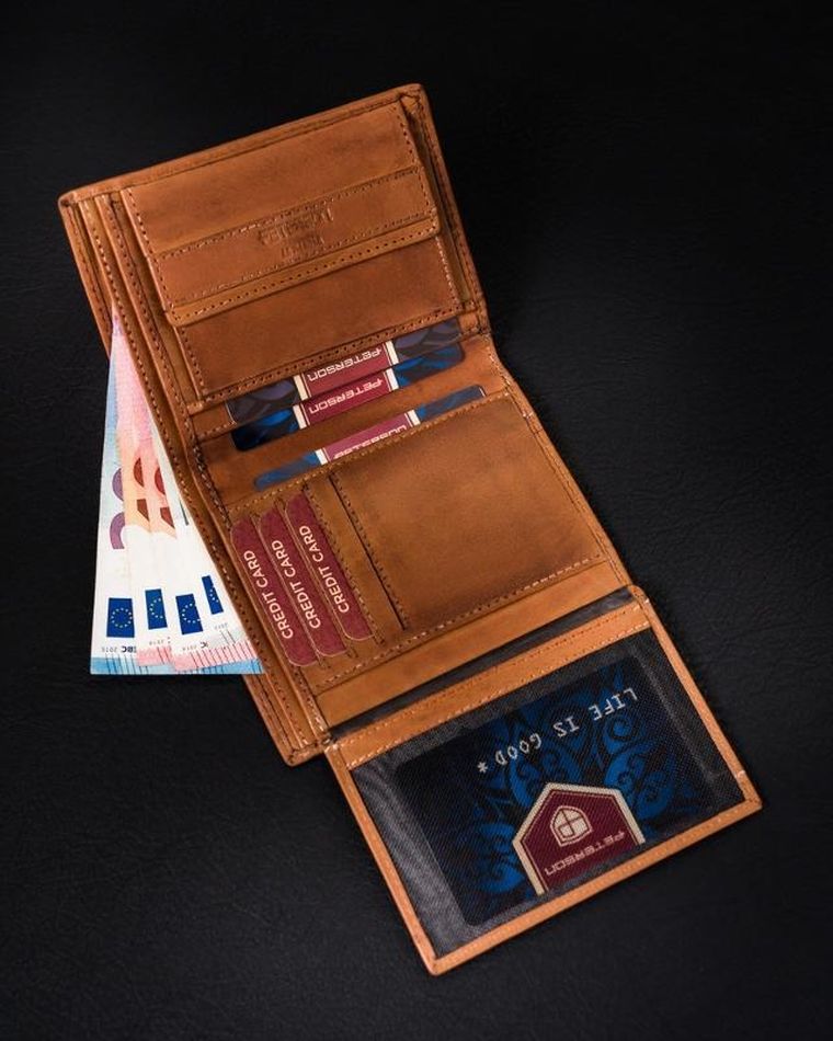 Portfel męski z cieniowanej skóry naturalnej, Peterson