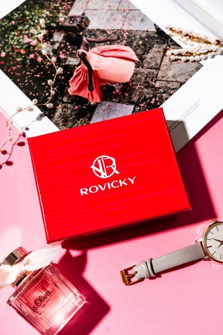 Portfel, srebrny, Rovicky