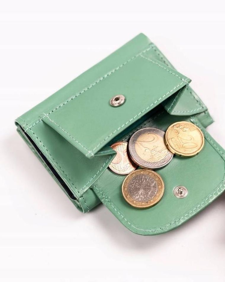 Portfel, zielony, skórzany, Peterson