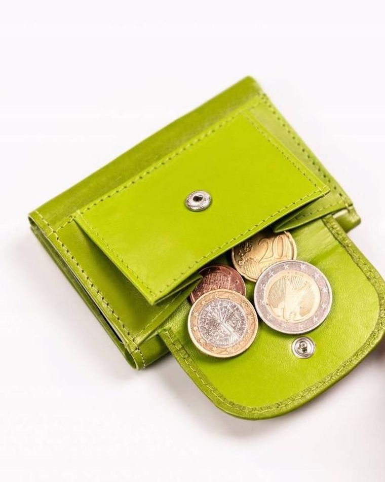 Portfel, zielony, skórzany, Peterson