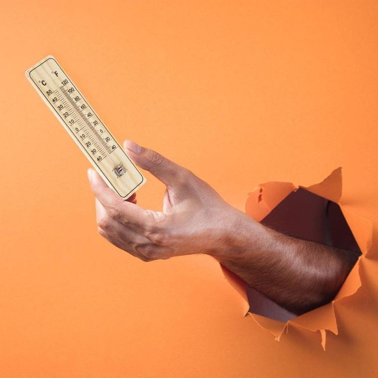 ProGarden, termometr ogrodowy, 22 cm