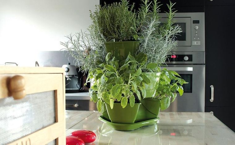 Prosperplast, doniczka kaskadowa do ziół, grafit