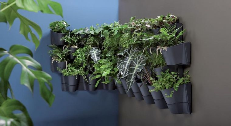 Prosperplast, ogród wertykalny, wiszący kwietnik, antracyt