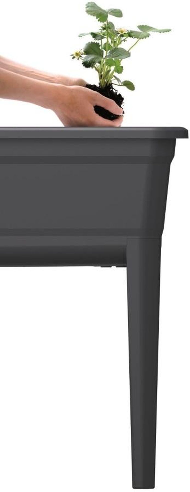 Prosperplast, szklarnia stojąca, rozsadnik, antracytowa, 59,6-36,8-75,3 cm