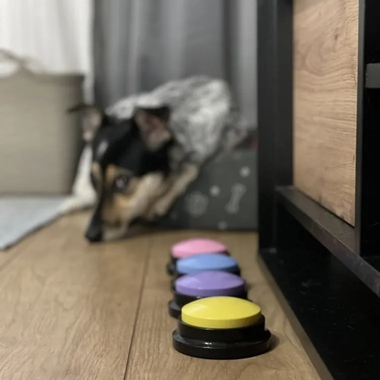 Purlov, przyciski dźwiękowe dla zwierząt