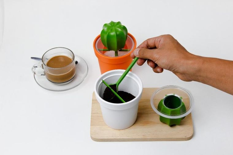 Qualy, Cacnister, pojemnik z łyżeczką na kawę, kaktus, biało-zielony