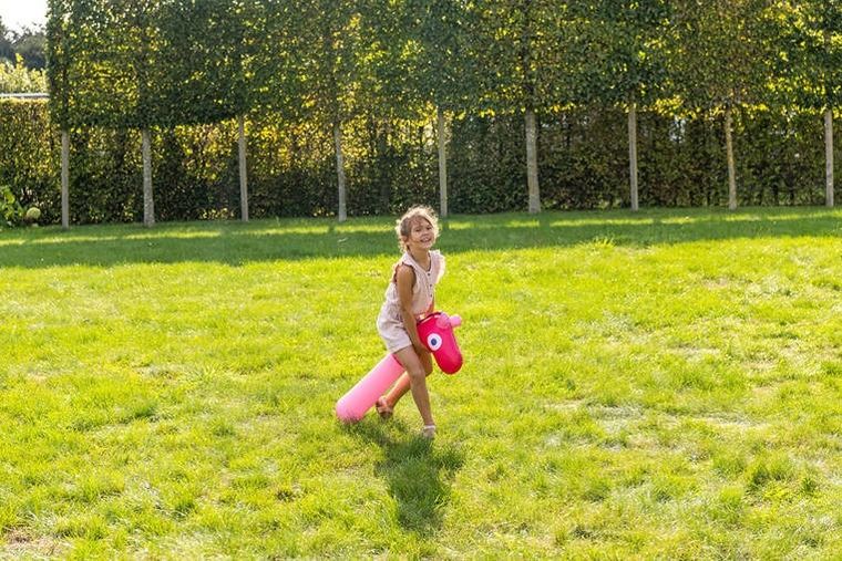 Quut, dmuchany makaron do pływania, koń