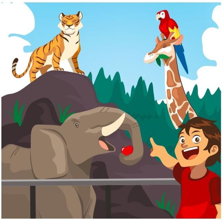 Rebel, BrainBox, Obrazki, gra edukacyjna